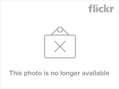 3966124758_bd0b499dc6_m.png