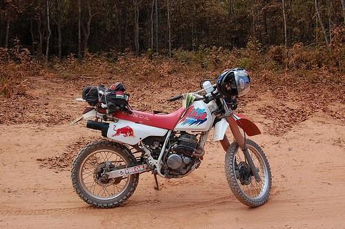 3973407998_7cc6b5d3bc.jpg