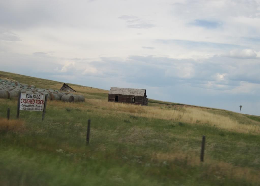 3f3b5315.jpg