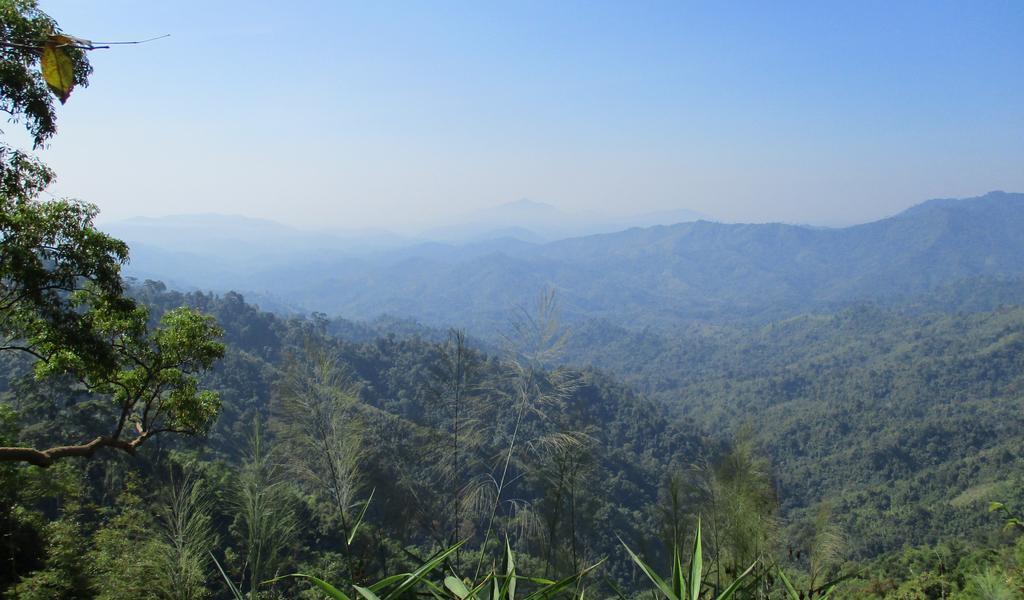 4001-Phu-Phaya-Pho-lookout-1.jpg