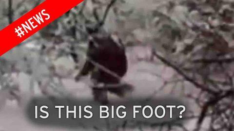 4221396001_3988656890001_big-foot2.jpg