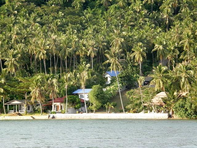 43-4.jpg