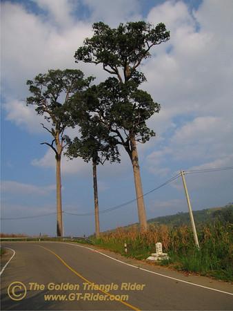 440516916_F6bes-M.jpg
