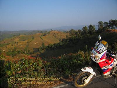 441439826_JDTg8-S.jpg