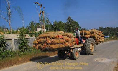 441551146_q5NWG-S.jpg