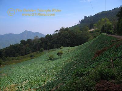 441551302_HWANK-S.jpg