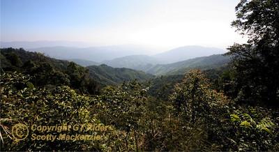 442069353_C2FzE-S.jpg