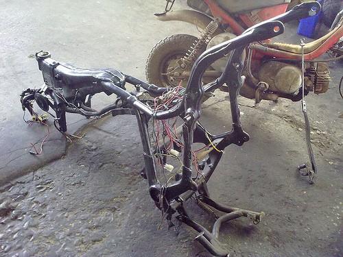 4472838400_4055a655cc.jpg
