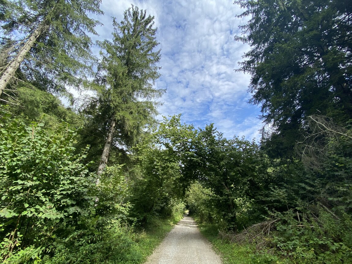 459F2981-0C00-4A05-86CA-1AEAB138A4E6.jpeg