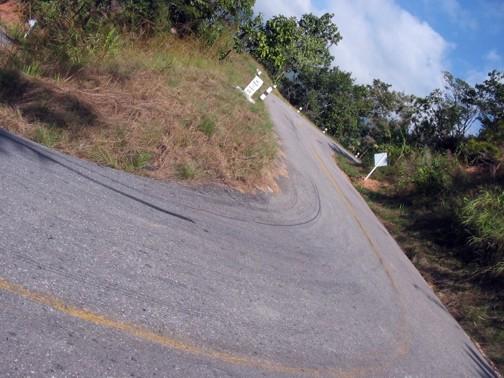 48713256-M.jpg