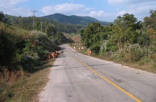 48713260-M.jpg