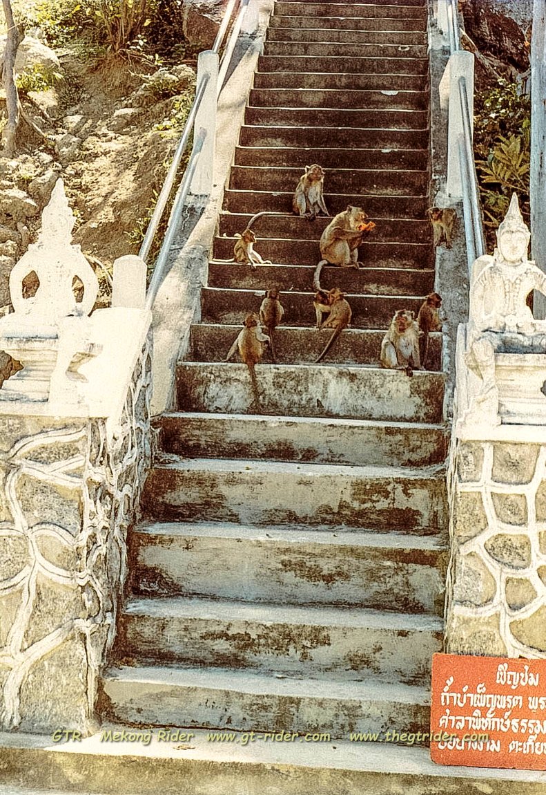 4th DEC 1981 - Hua Hin 3-14-28.jpg