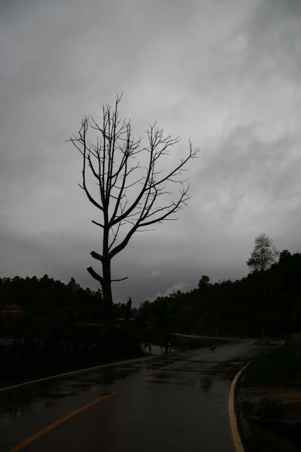 52d15ee5.jpg
