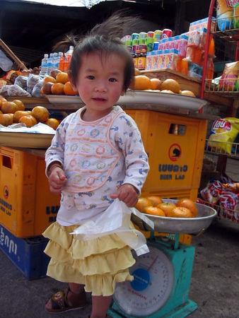 57133007-M.jpg