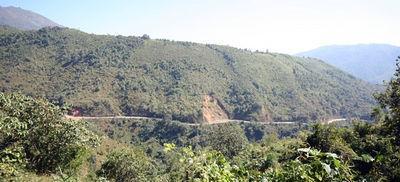 59391744-S.jpg