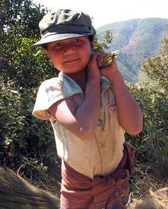 59851048-S.jpg