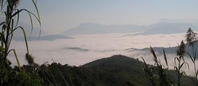 59851053-S.jpg