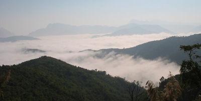 59851054-S.jpg