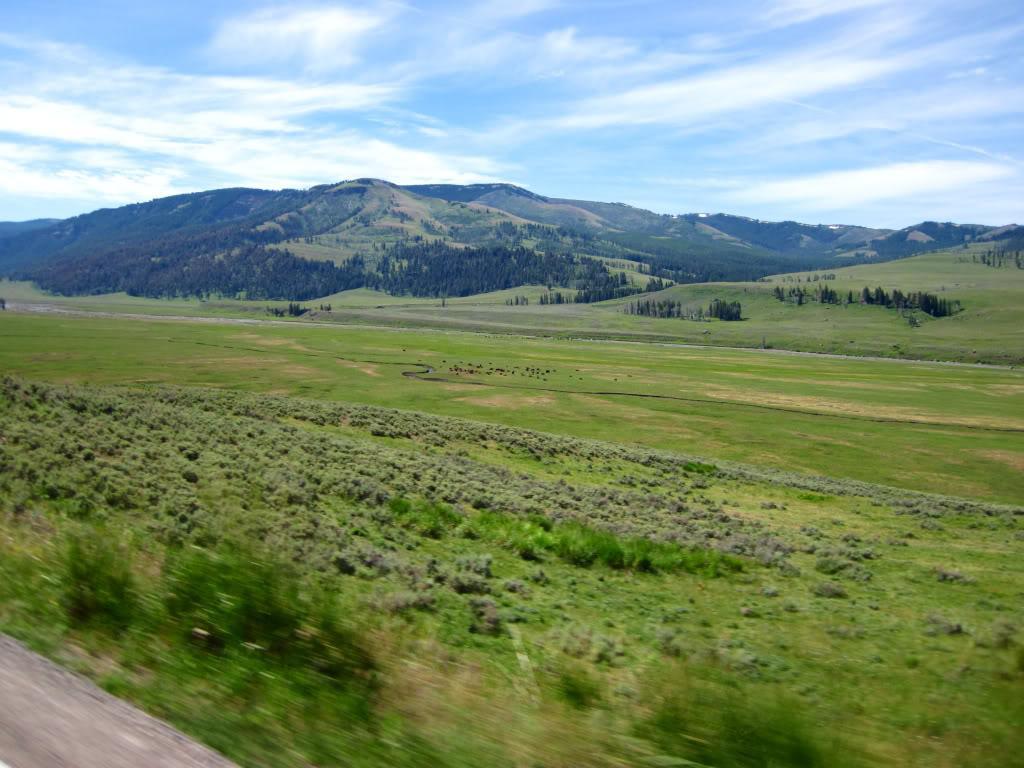 5d70f986.jpg