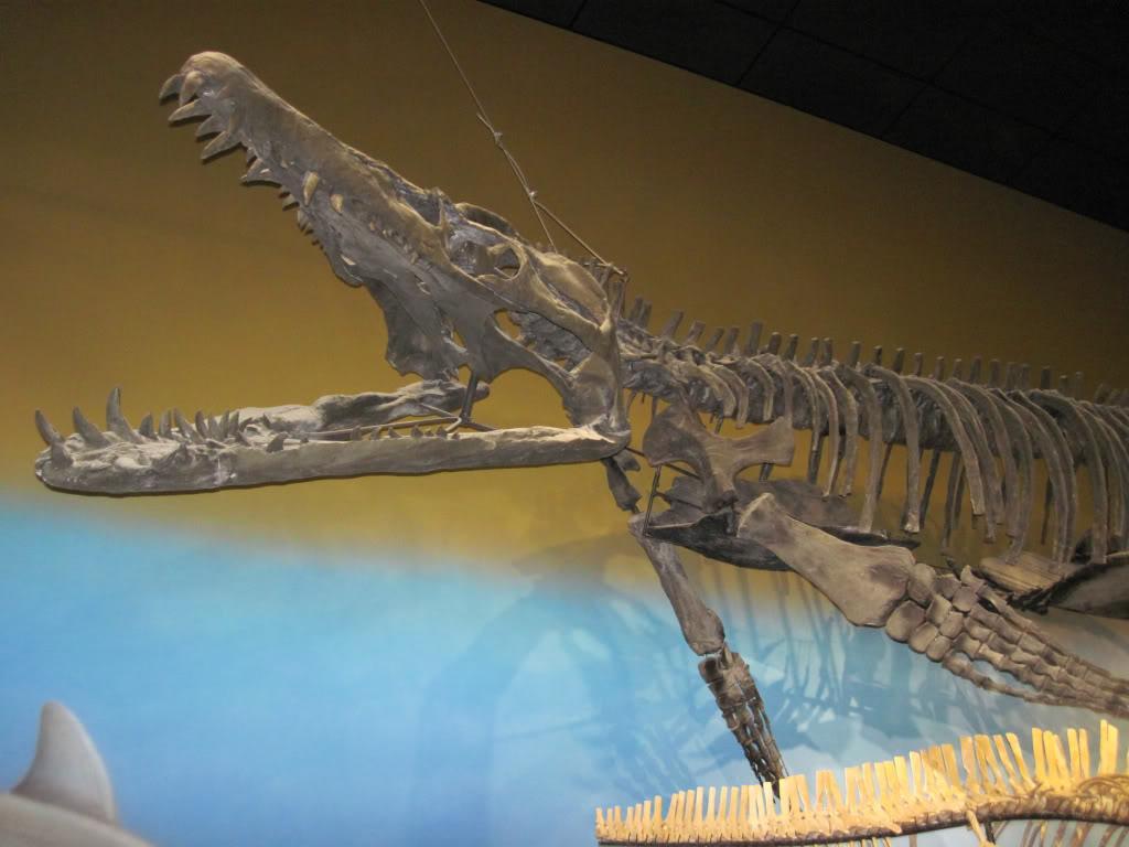 6030e585.jpg
