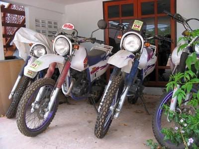 61540796-S.jpg