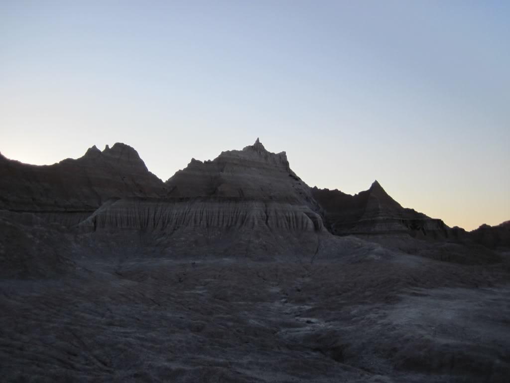 61f77802.jpg