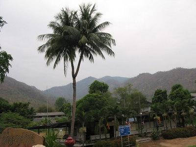 63477971-S.jpg