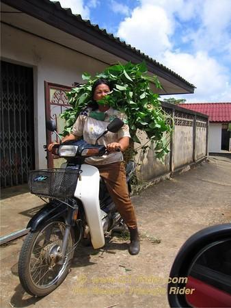 644194133_at6fM-M.jpg