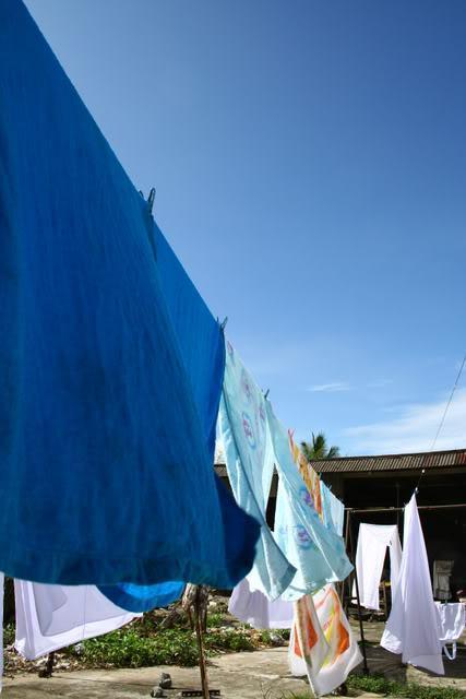 6f88408c.jpg