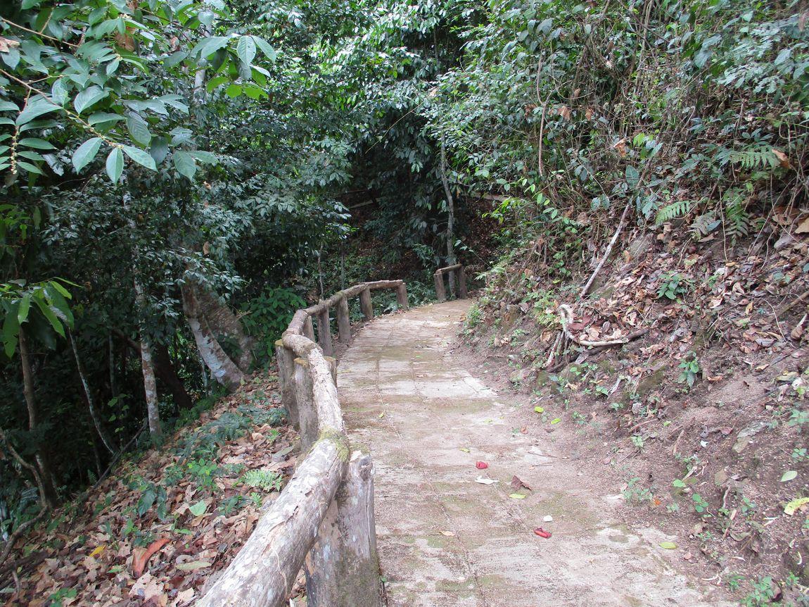 7-IMG_2518.jpg