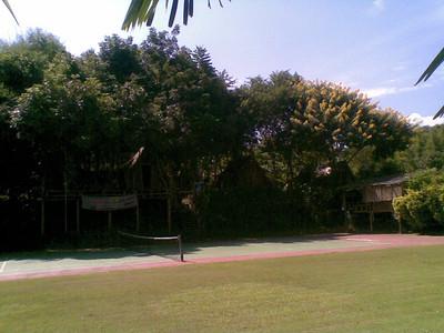 705036562_tKqQR-S.jpg