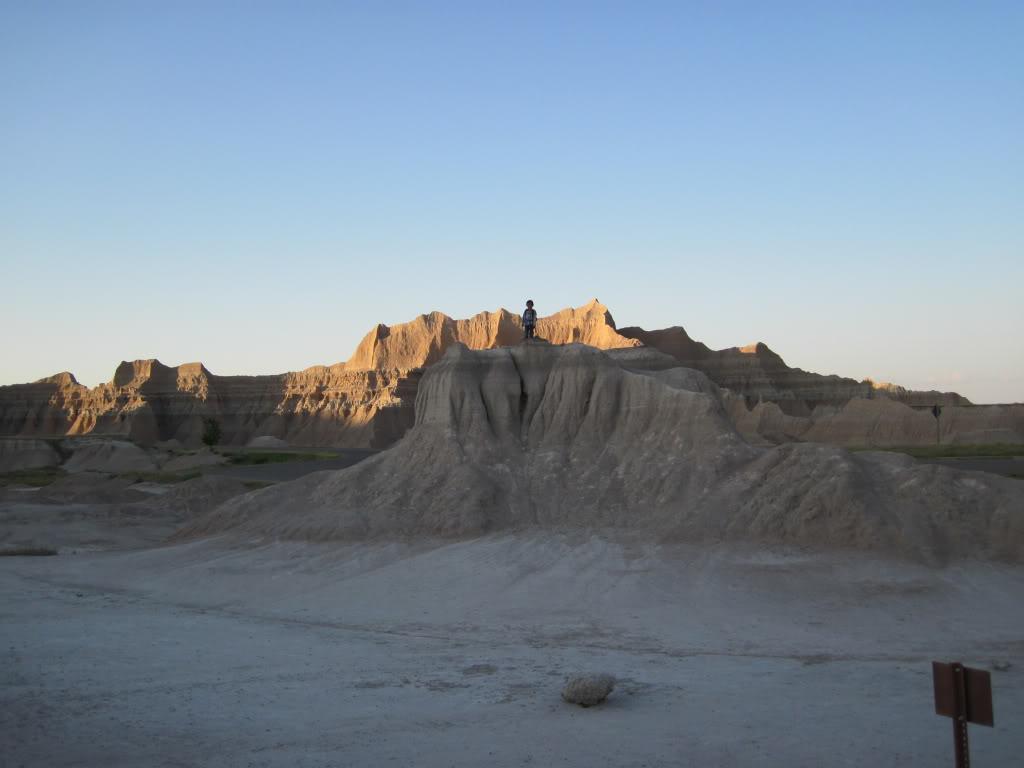 7299b130.jpg