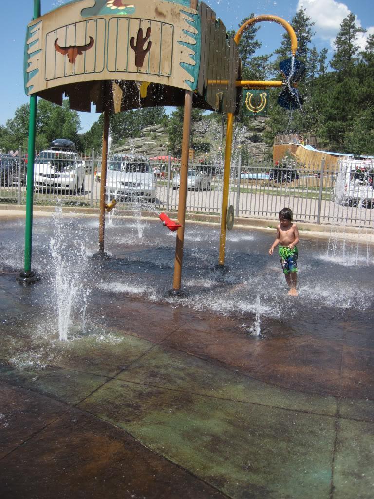 72f6a6d1.jpg