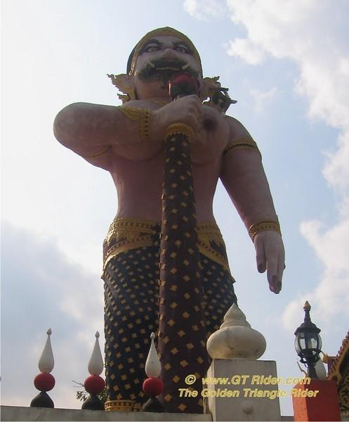 744027538_hypoc-L.jpg