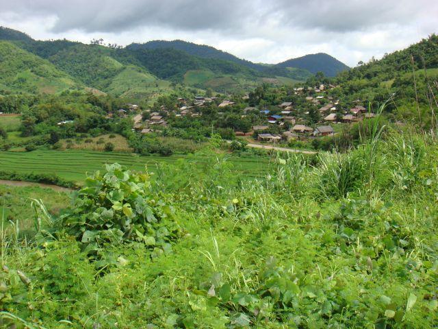7b_002.jpg