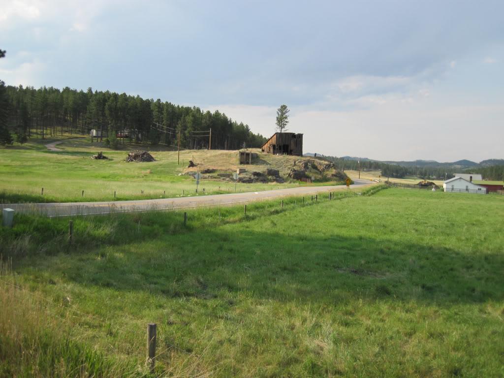 829bf014.jpg