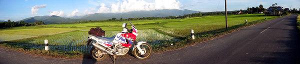 84084515-M.jpg