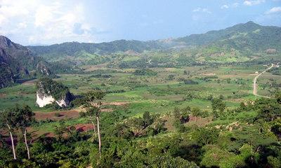 84084548-S.jpg