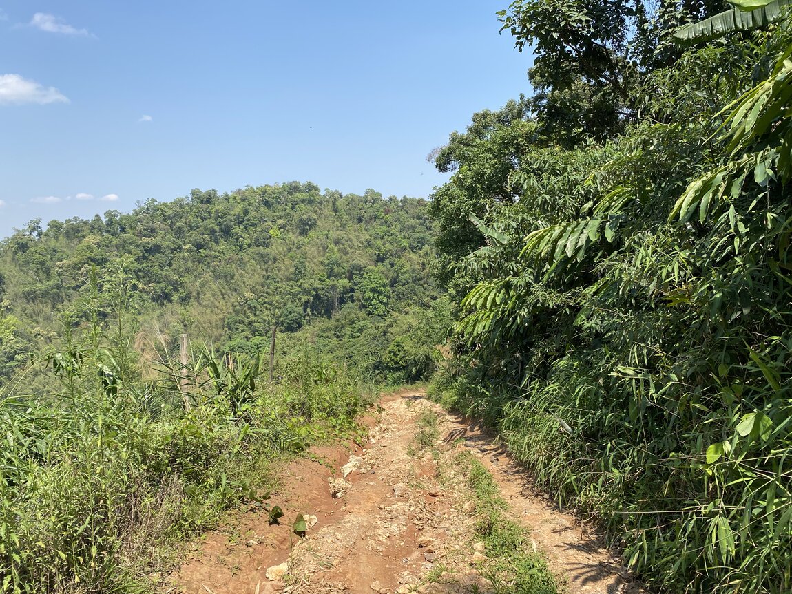 89187458-DE01-445B-B465-FE56D66955CB.jpeg