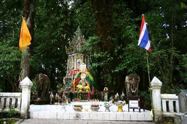 8b183639.jpg