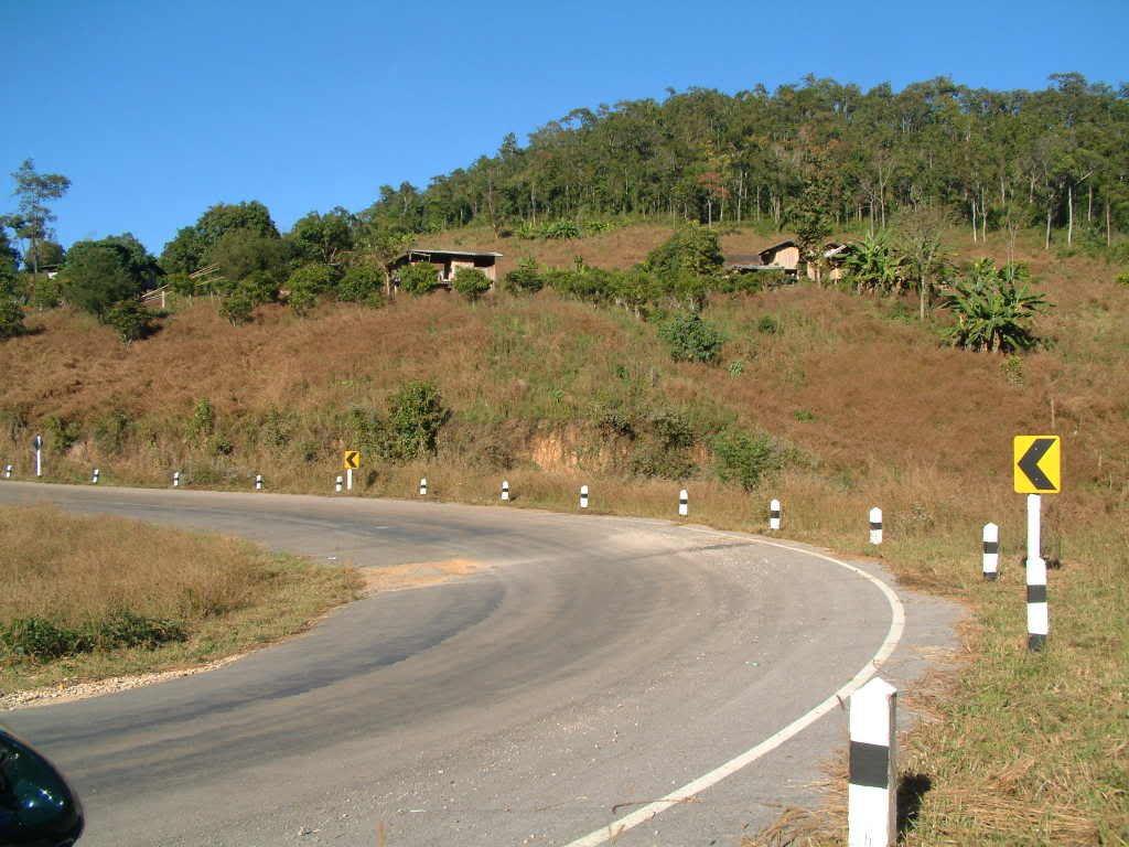 921a2f36.jpg