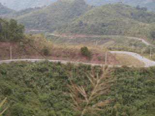 _1203550.jpg
