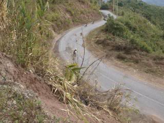 _1203553.jpg
