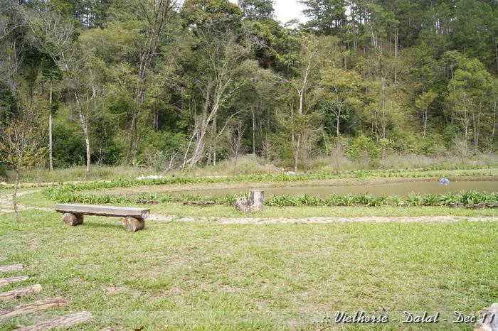 _DSC0070.jpg