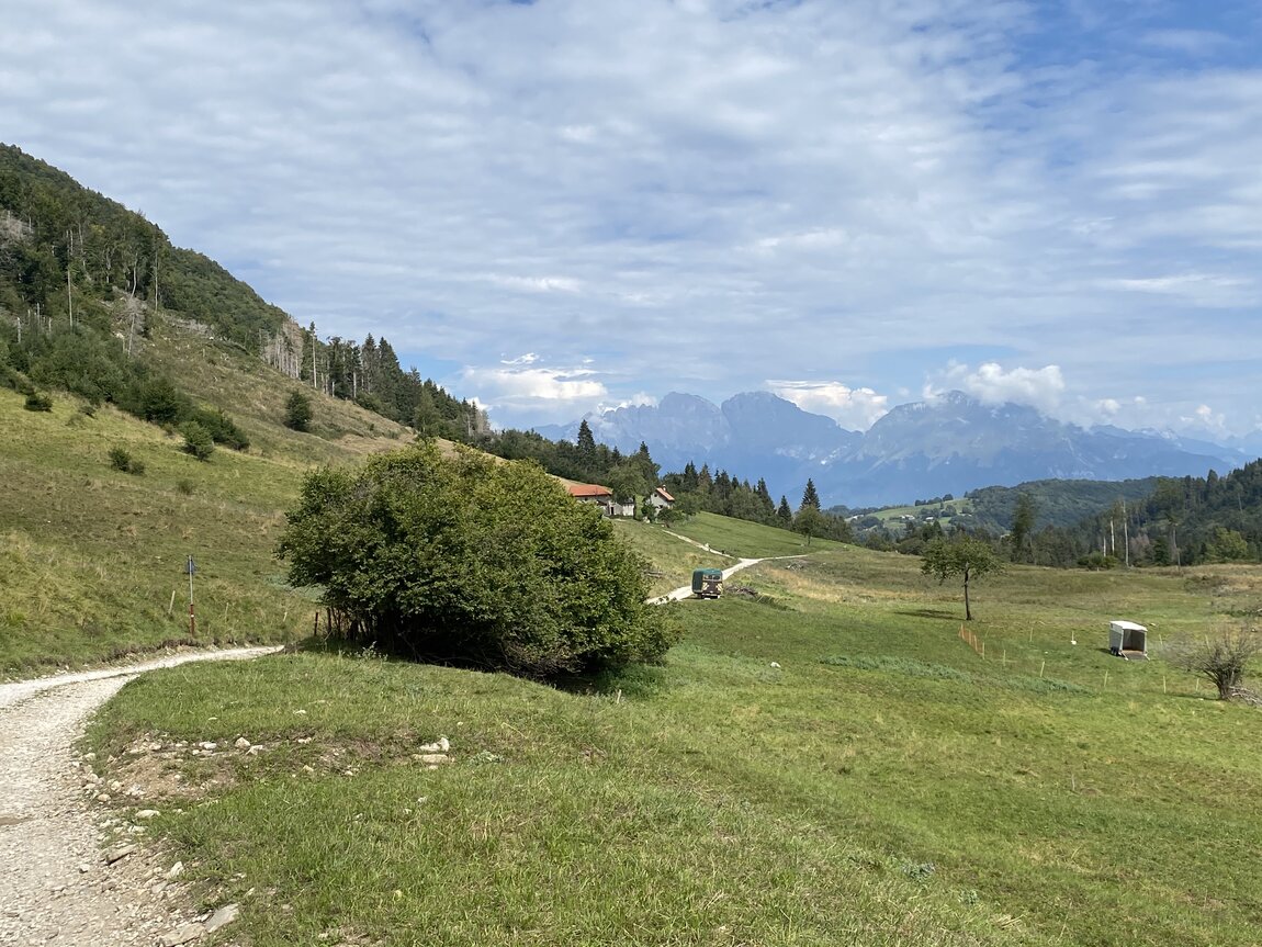A3BA56DE-E392-44E7-87C3-348397009D59.jpeg