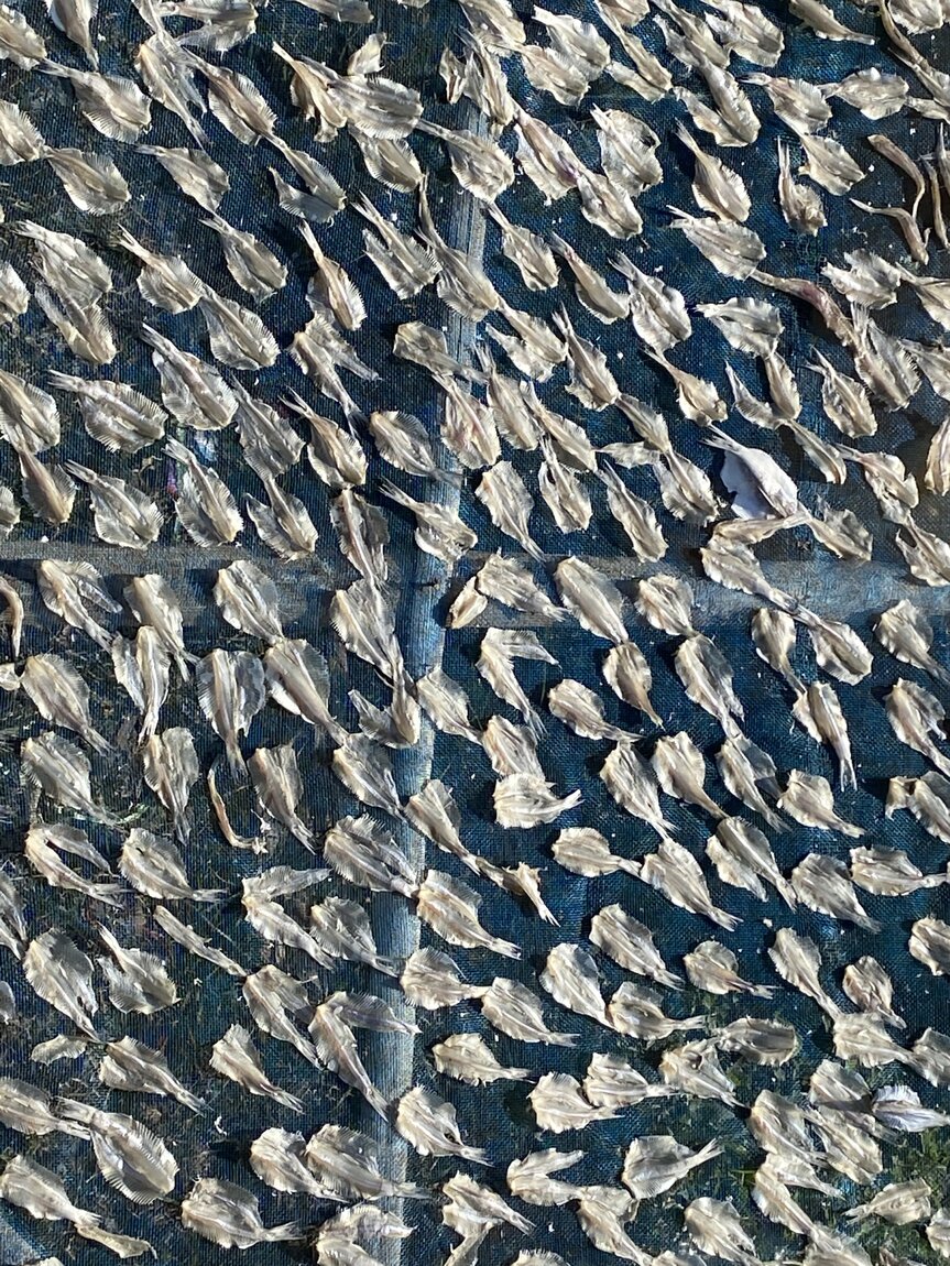 A5D5806B-D1C4-49A5-843E-9C4B38B168C4.jpeg