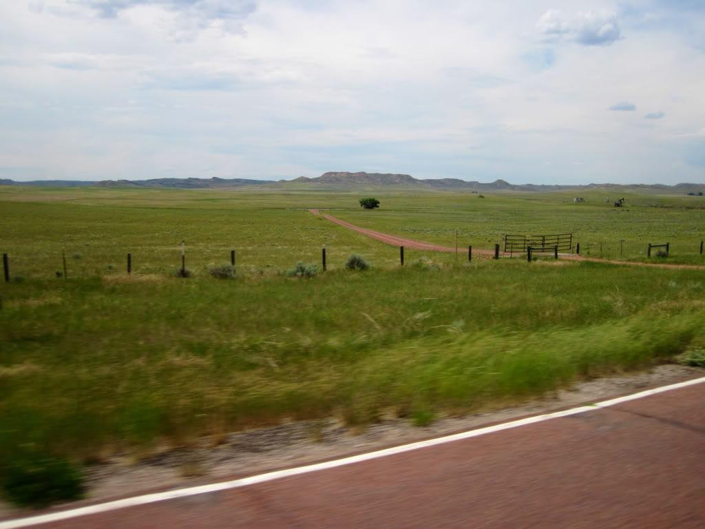 a68065ff.jpg
