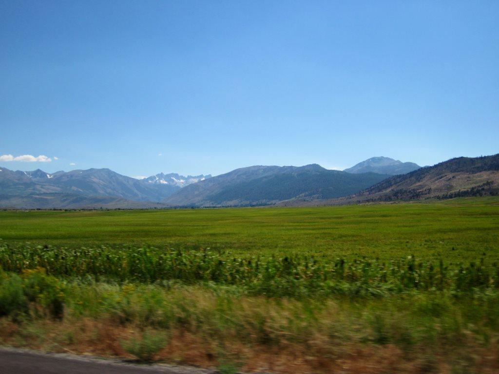 af255a6d0e8557c6606c0c473960577d_zps167718cd.jpg