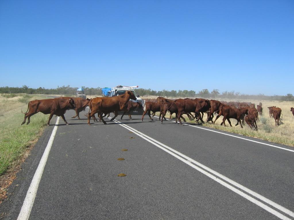 Australia0013.jpg
