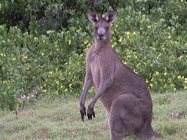 australiatothailand-36.jpg